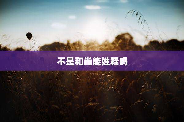 不是和尚能姓释吗
