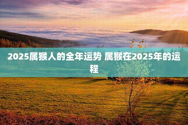 2025属猴人的全年运势 属猴在2025年的运程