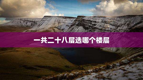 一共二十八层选哪个楼层