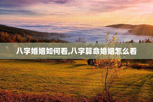 八字婚姻如何看,八字算命婚姻怎么看