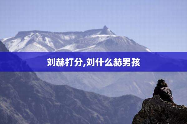 刘赫打分,刘什么赫男孩