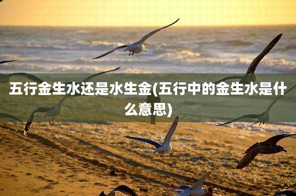 五行金生水还是水生金(五行中的金生水是什么意思)