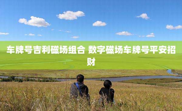 车牌号吉利磁场组合 数字磁场车牌号平安招财