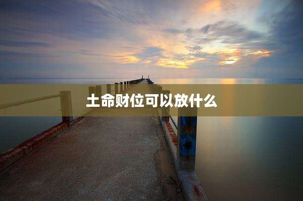 土命财位可以放什么