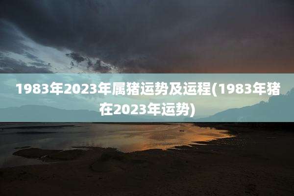 1983年2023年属猪运势及运程(1983年猪在2023年运势)