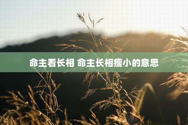 命主看长相 命主长相瘦小的意思