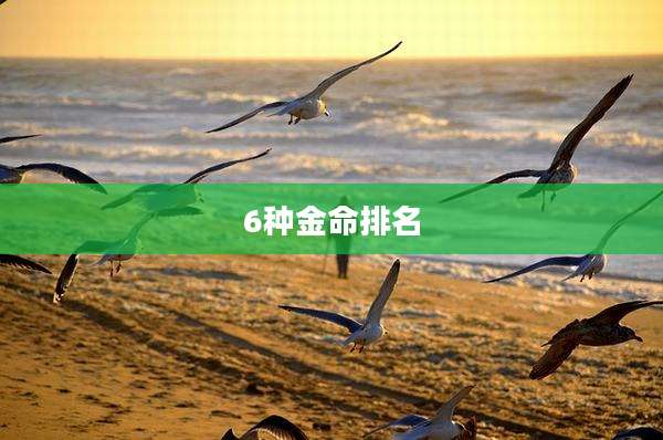 6种金命排名