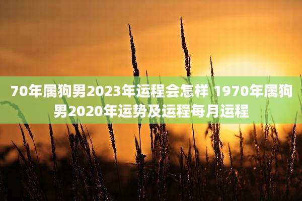 70年属狗男2023年运程会怎样 1970年属狗男2020年运势及运程每月运程