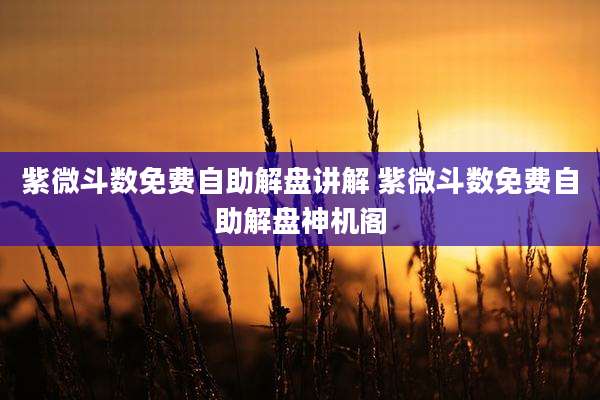 紫微斗数免费自助解盘讲解 紫微斗数免费自助解盘神机阁