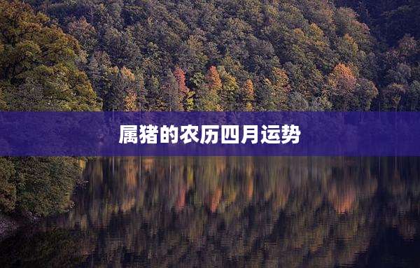属猪的农历四月运势