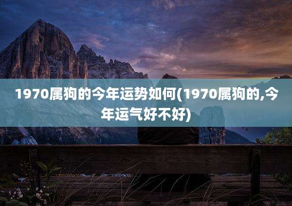 1970属狗的今年运势如何(1970属狗的,今年运气好不好)