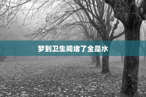 梦到卫生间堵了全是水