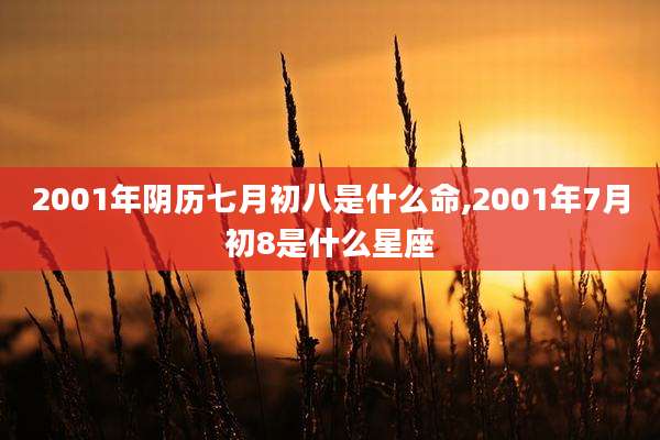 2001年阴历七月初八是什么命,2001年7月初8是什么星座
