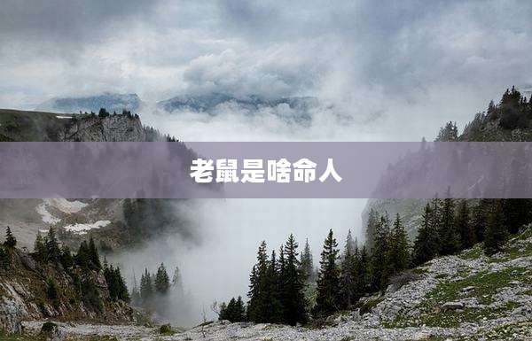 老鼠是啥命人