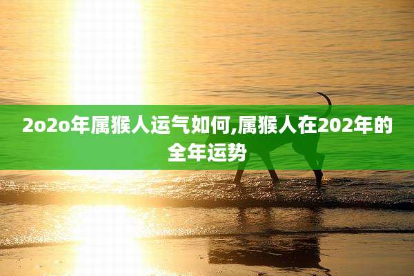 2o2o年属猴人运气如何,属猴人在202年的全年运势