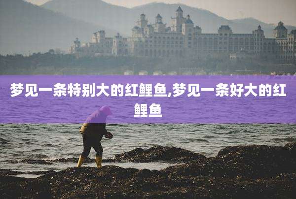 梦见一条特别大的红鲤鱼,梦见一条好大的红鲤鱼