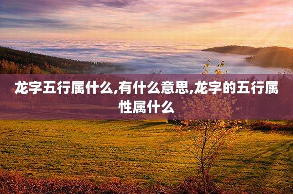 龙字五行属什么,有什么意思,龙字的五行属性属什么