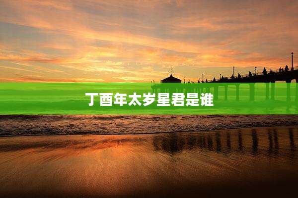丁酉年太岁星君是谁