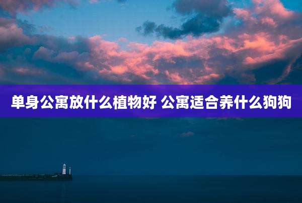 单身公寓放什么植物好 公寓适合养什么狗狗