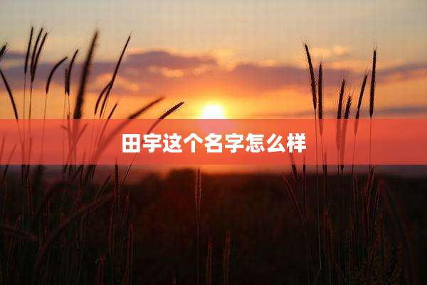 田宇这个名字怎么样