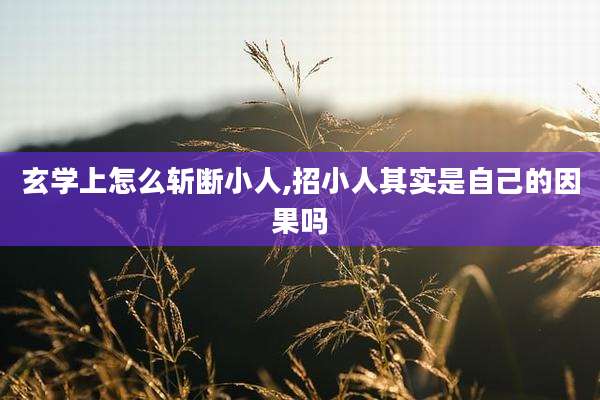 玄学上怎么斩断小人,招小人其实是自己的因果吗