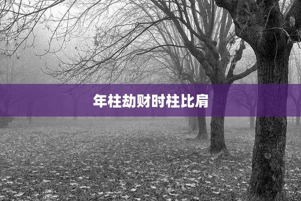 年柱劫财时柱比肩