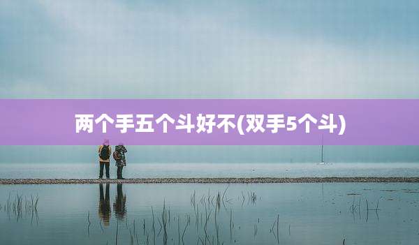 两个手五个斗好不(双手5个斗)