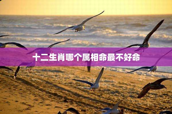 十二生肖哪个属相命最不好命