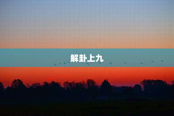 解卦上九