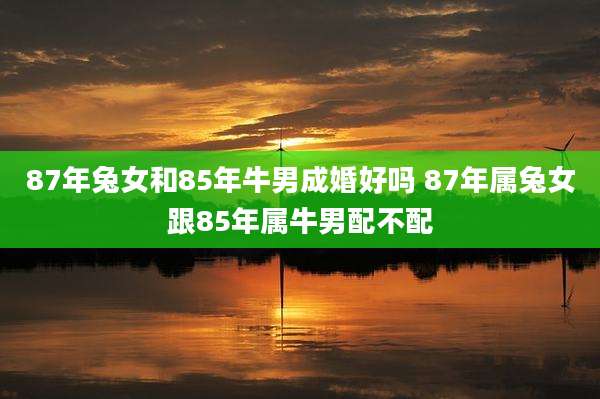 87年兔女和85年牛男成婚好吗 87年属兔女跟85年属牛男配不配