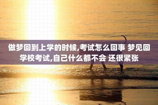 做梦回到上学的时候,考试怎么回事 梦见回学校考试,自己什么都不会 还很紧张