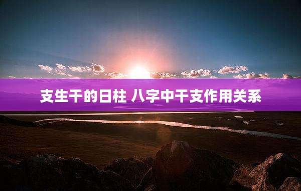 支生干的日柱 八字中干支作用关系