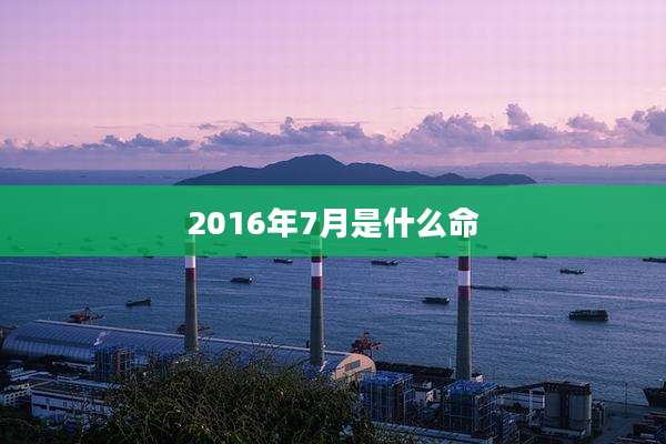 2016年7月是什么命