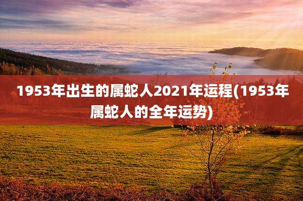 1953年出生的属蛇人2021年运程(1953年属蛇人的全年运势)