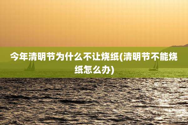 今年清明节为什么不让烧纸(清明节不能烧纸怎么办)