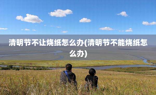 清明节不让烧纸怎么办(清明节不能烧纸怎么办)