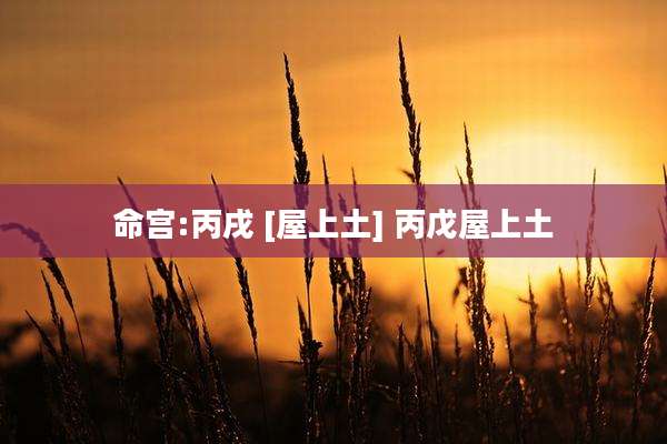 命宫:丙戌 [屋上土] 丙戊屋上土