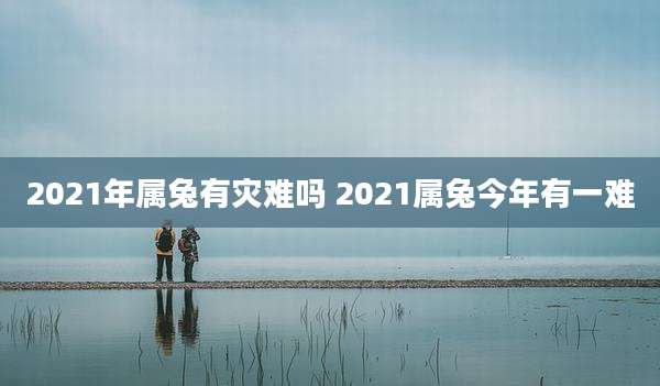 2021年属兔有灾难吗 2021属兔今年有一难
