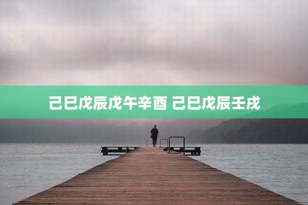 己巳戊辰戊午辛酉 己巳戊辰壬戌