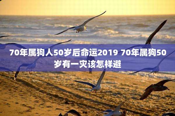 70年属狗人50岁后命运2019 70年属狗50岁有一灾该怎样避