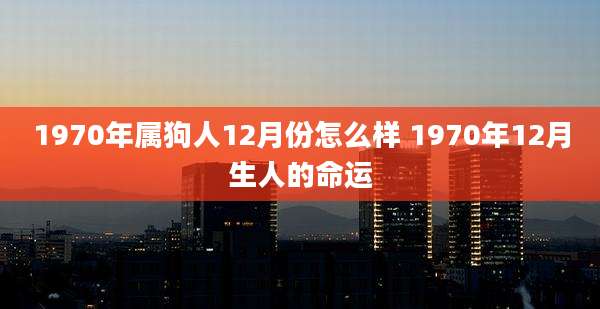 1970年属狗人12月份怎么样 1970年12月生人的命运