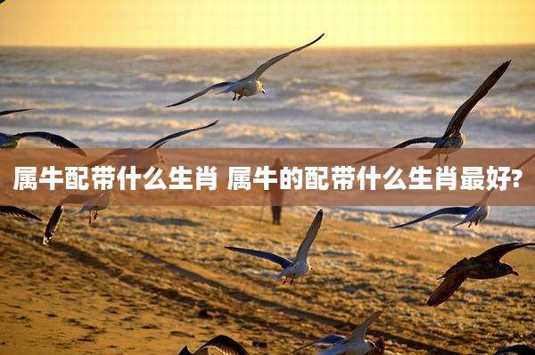 属牛配带什么生肖 属牛的配带什么生肖最好?