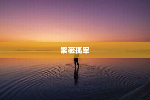 紫薇孤军