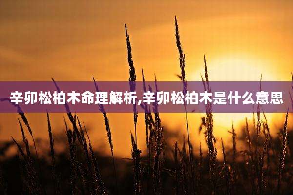 辛卯松柏木命理解析,辛卯松柏木是什么意思