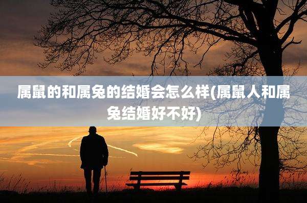 属鼠的和属兔的结婚会怎么样(属鼠人和属兔结婚好不好)