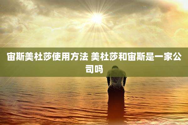 宙斯美杜莎使用方法 美杜莎和宙斯是一家公司吗