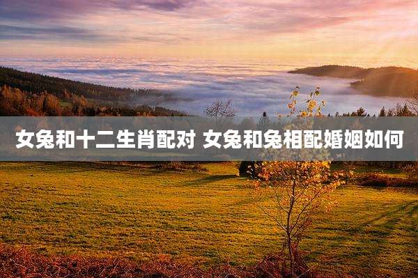 女兔和十二生肖配对 女兔和兔相配婚姻如何