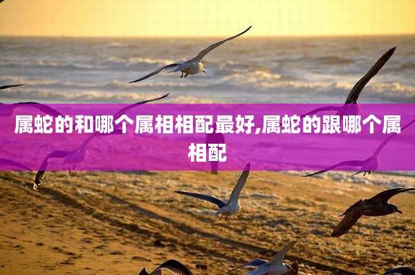 属蛇的和哪个属相相配最好,属蛇的跟哪个属相配