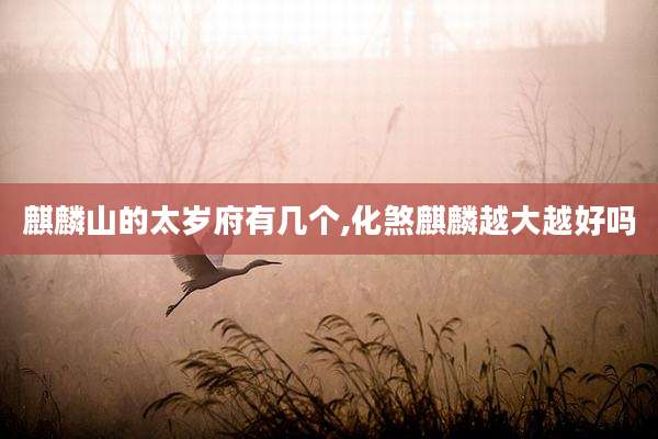 麒麟山的太岁府有几个,化煞麒麟越大越好吗