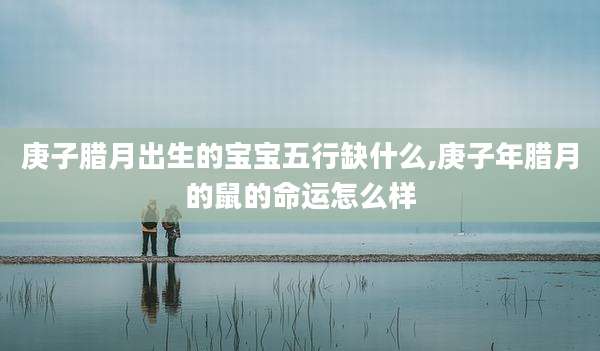 庚子腊月出生的宝宝五行缺什么,庚子年腊月的鼠的命运怎么样